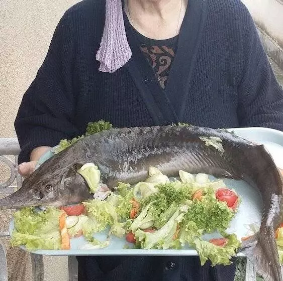 تختخواب و صبحانه Manana