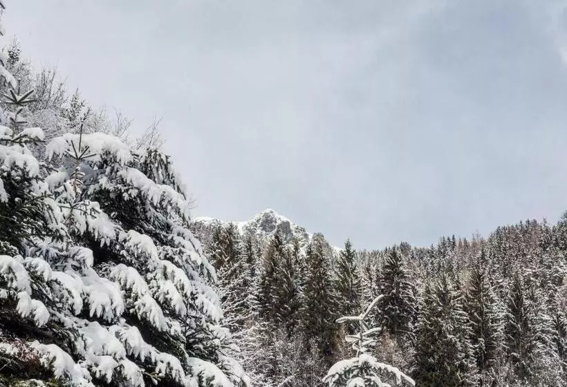 ホテル Alpenhof