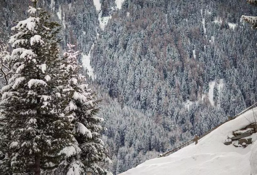 ホテル Alpenhof