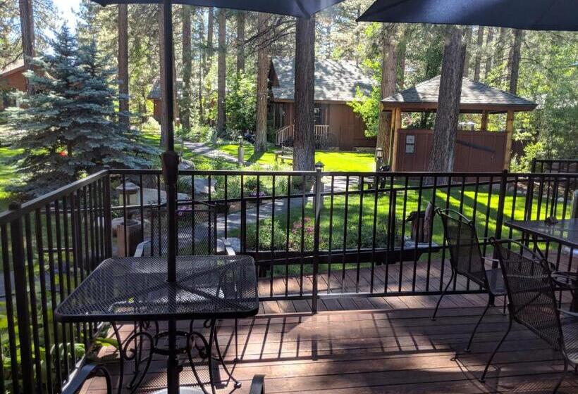 هتل Black Bear Lodge