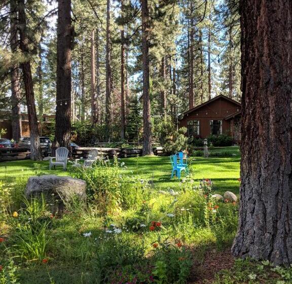 هتل Black Bear Lodge