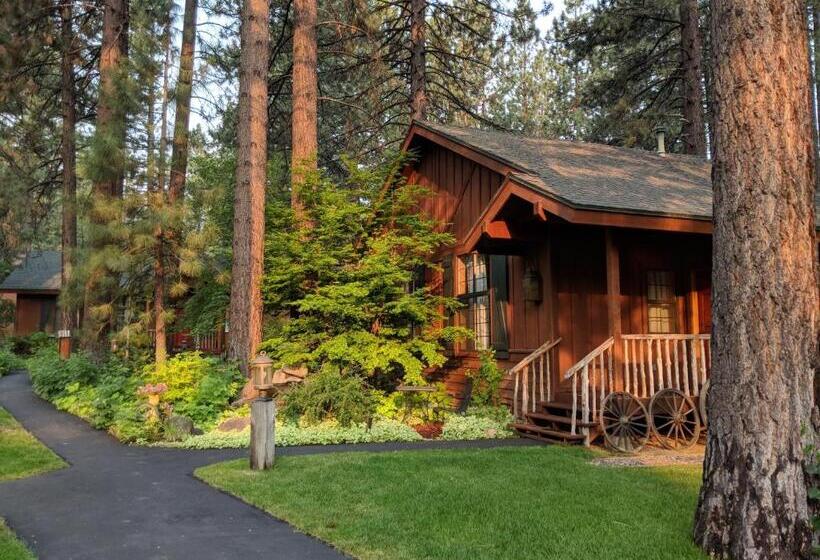 هتل Black Bear Lodge