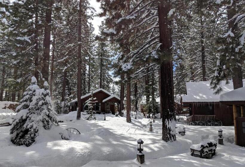 هتل Black Bear Lodge