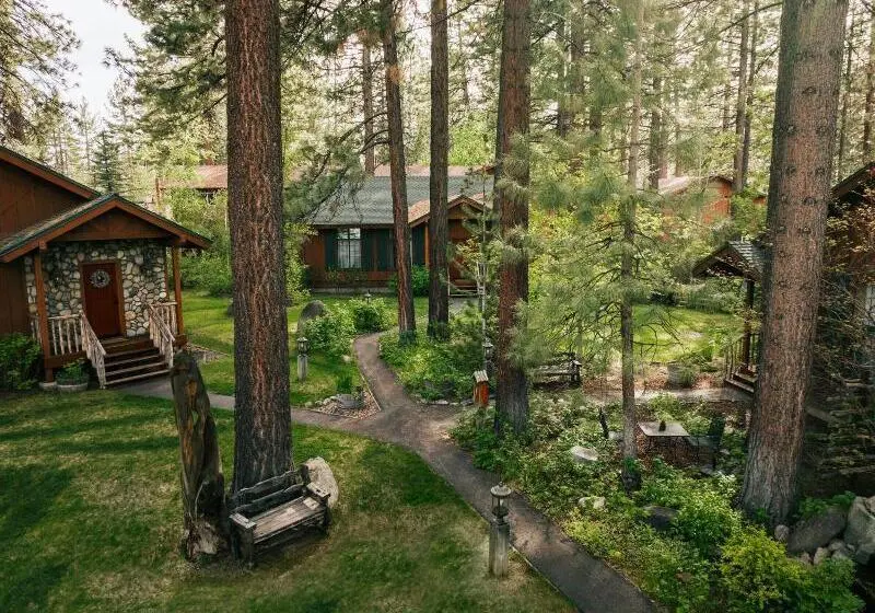 هتل Black Bear Lodge