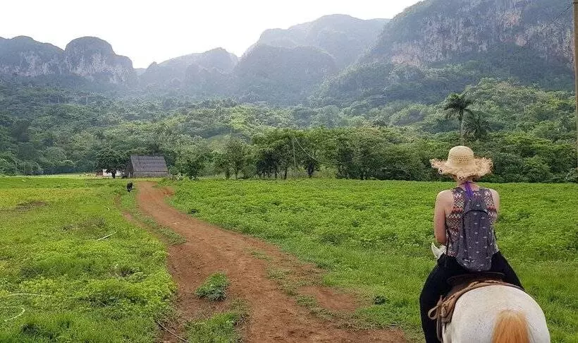 田舎風ホテル Casa Finca Hector Luis Prieto