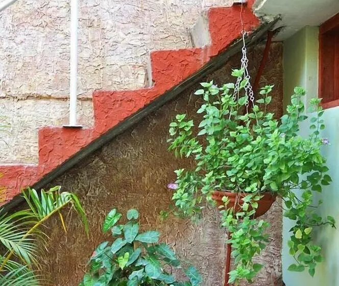 ペンション Hostal Doña Antonia