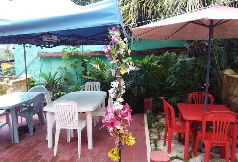 پانسیون Hostal La Caridad