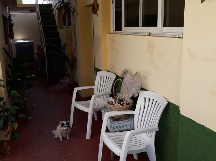 پانسیون Zaida House