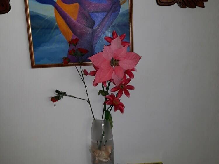 پانسیون Zaida House