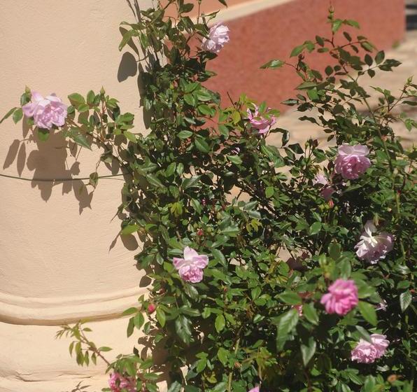 B&b Costa Lupara Villa Murchio