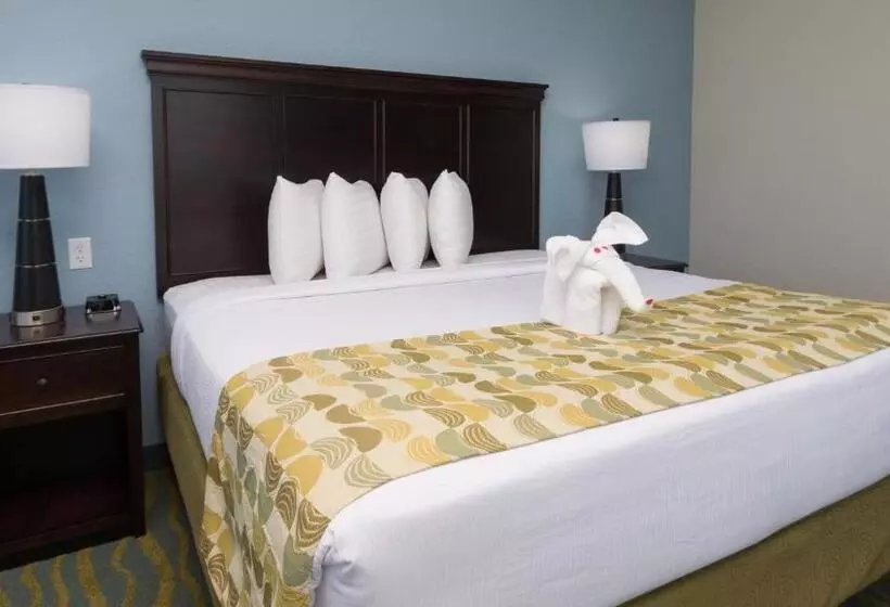 Edge Hotel Clearwater Beach