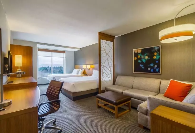 ホテル Hyatt Place Blacksburg/university