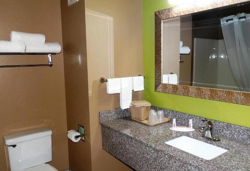 Отель Oak Tree Inn & Suites