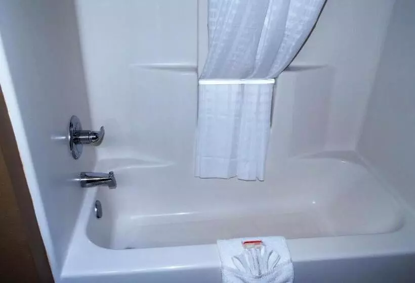 ホテル Oak Tree Inn & Suites