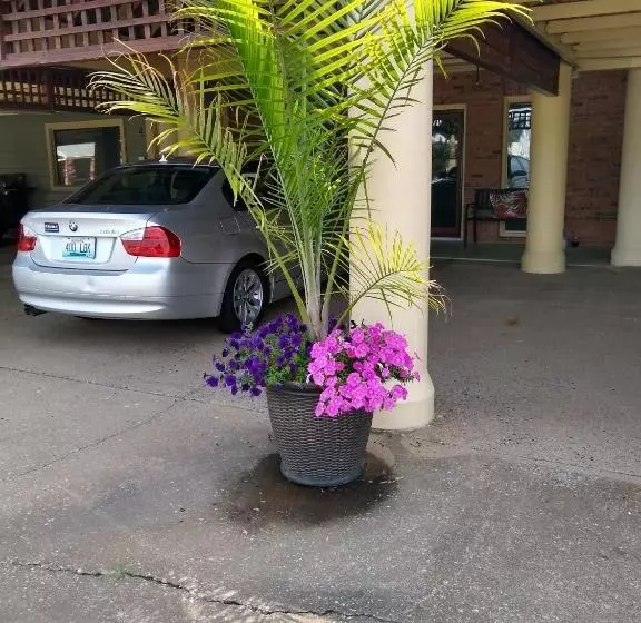 モーテル Southern Comfort Suites