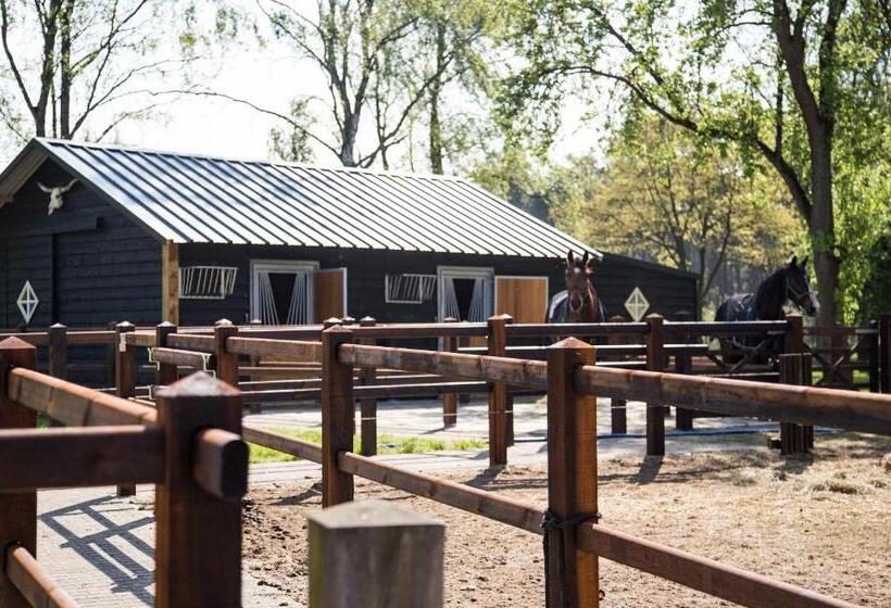 ベッドアンドブレックファースト De Verloren Sinjoor