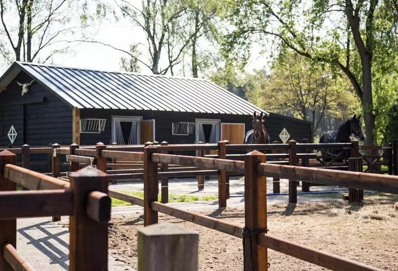 Aamiaismajoitus (B&B) De Verloren Sinjoor