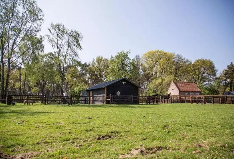 Aamiaismajoitus (B&B) De Verloren Sinjoor