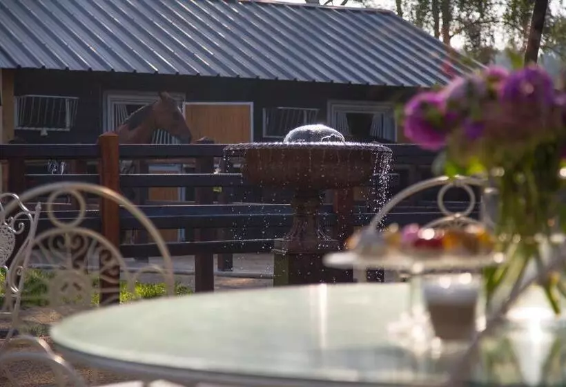 Aamiaismajoitus (B&B) De Verloren Sinjoor