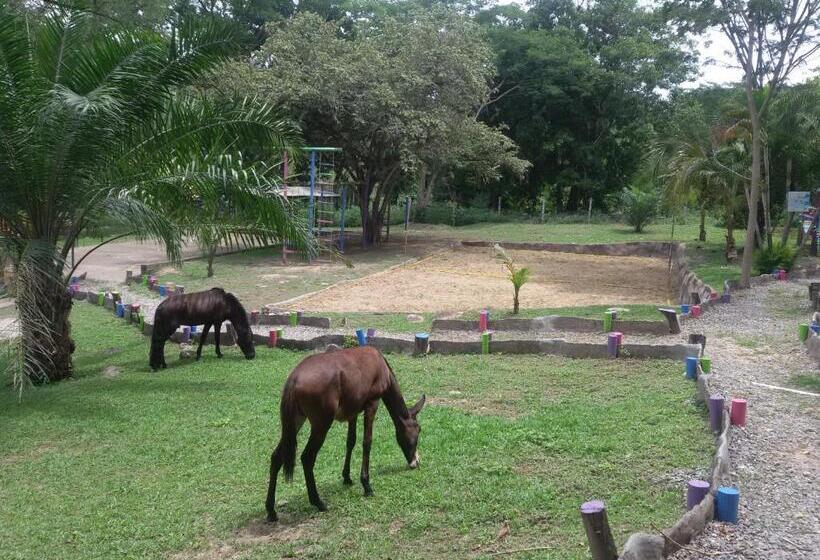 בית מלון כפרי El Tesoro