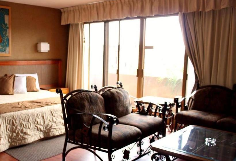 酒店 Excelencia De América