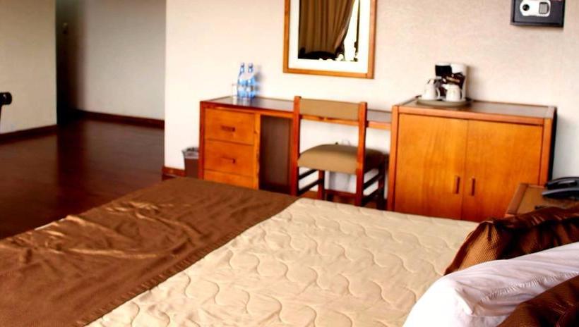 酒店 Excelencia De América