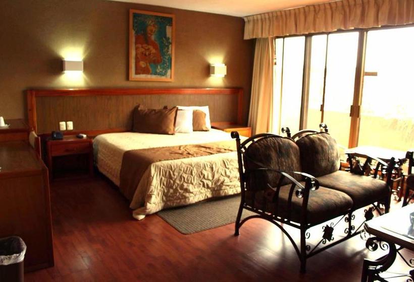 酒店 Excelencia De América