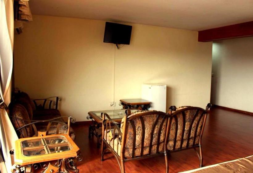 酒店 Excelencia De América