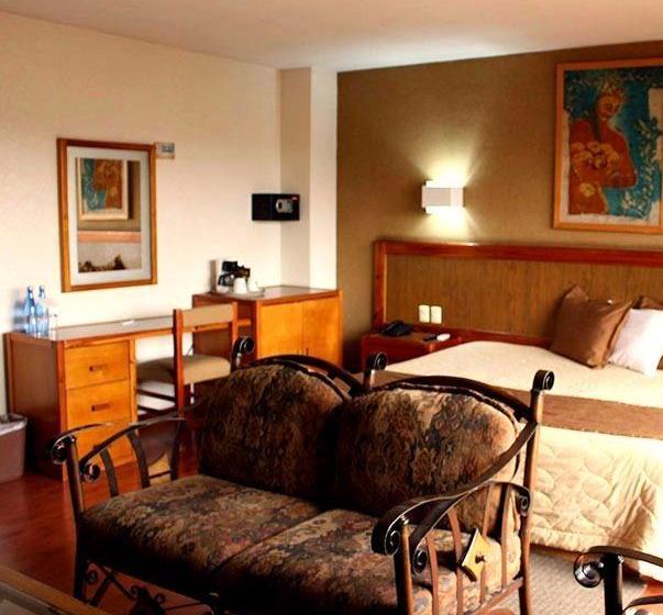 酒店 Excelencia De América