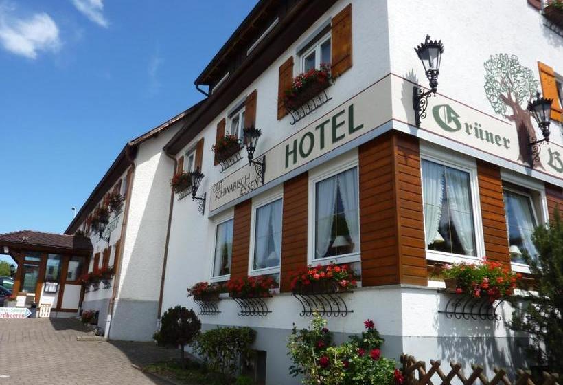 호텔 Landgasthof Grüner Baum