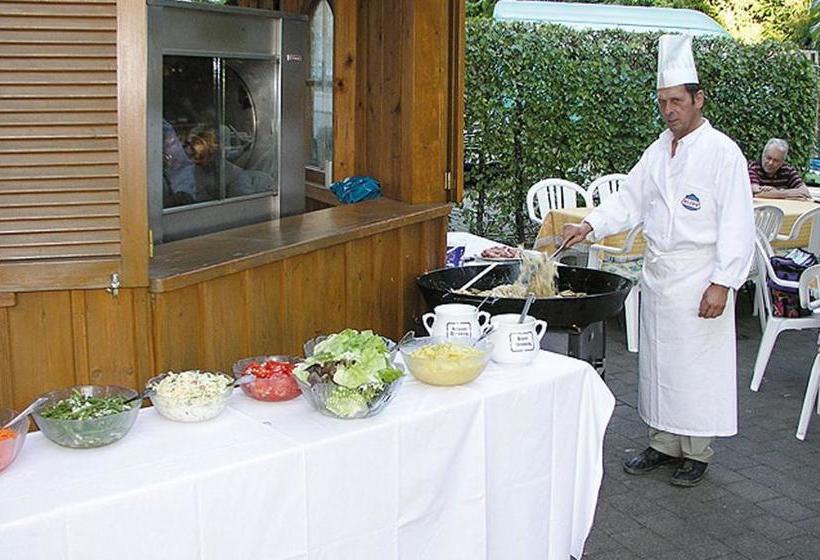 호텔 Landgasthof Grüner Baum