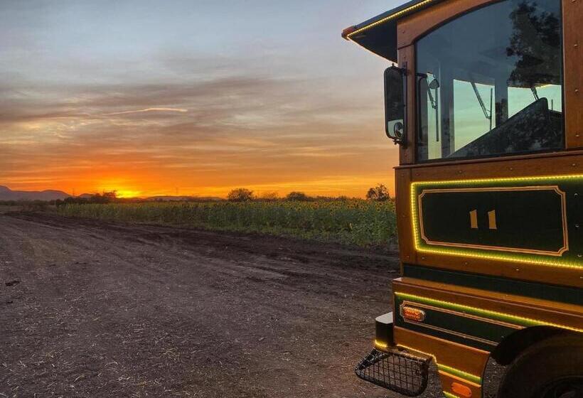 Punto Madero Hotel & Plaza