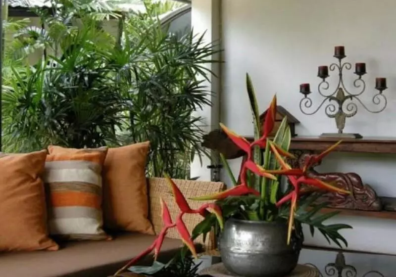 استراحتگاه Baan Thai House