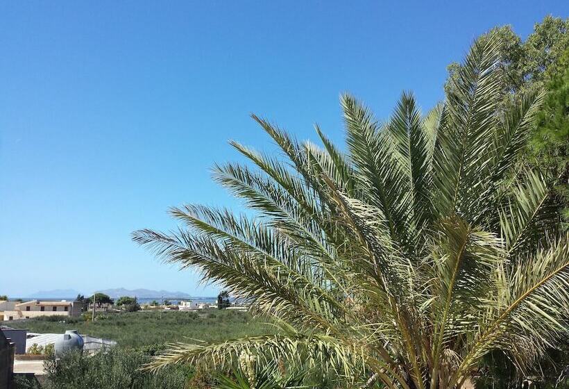 住宿加早餐 Baglio Il Giovinetto