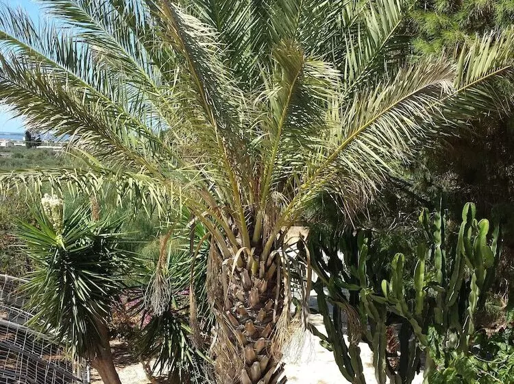 Aamiaismajoitus (B&B) Baglio Il Giovinetto