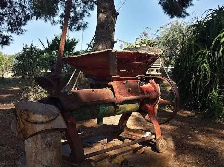 Aamiaismajoitus (B&B) Baglio Il Giovinetto