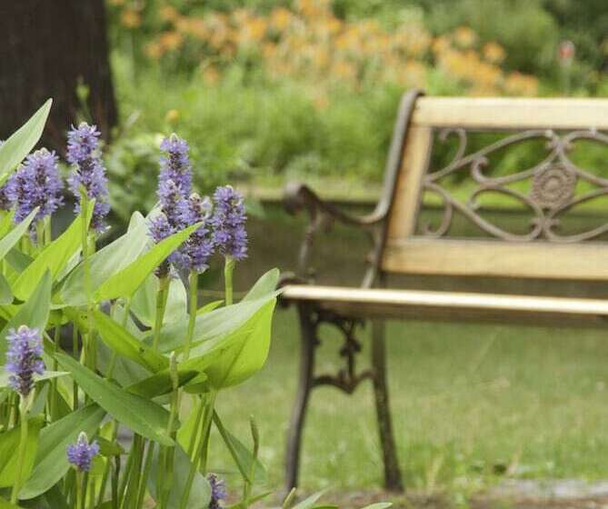 Aamiaismajoitus (B&B) Golden Stage Inn