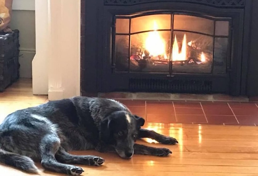 Aamiaismajoitus (B&B) Golden Stage Inn