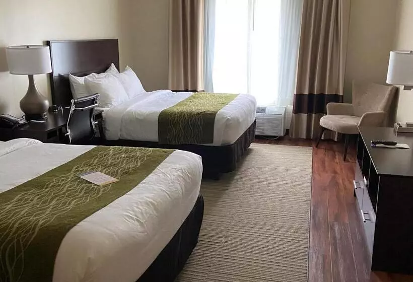 ホテル Comfort Inn