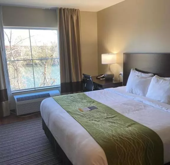 ホテル Comfort Inn