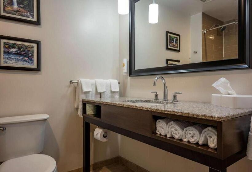 Отель Comfort Inn