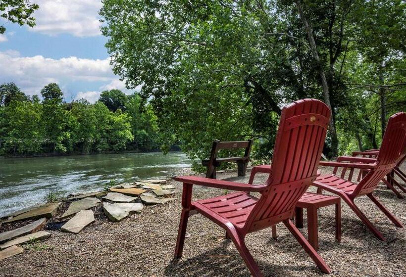 Отель Comfort Inn