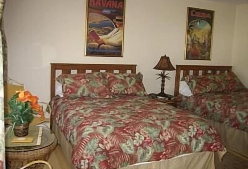 מוטל Spring Motor Inn