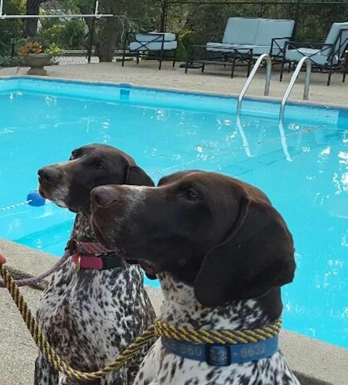 מוטל Starlight Lodge Cape Cod