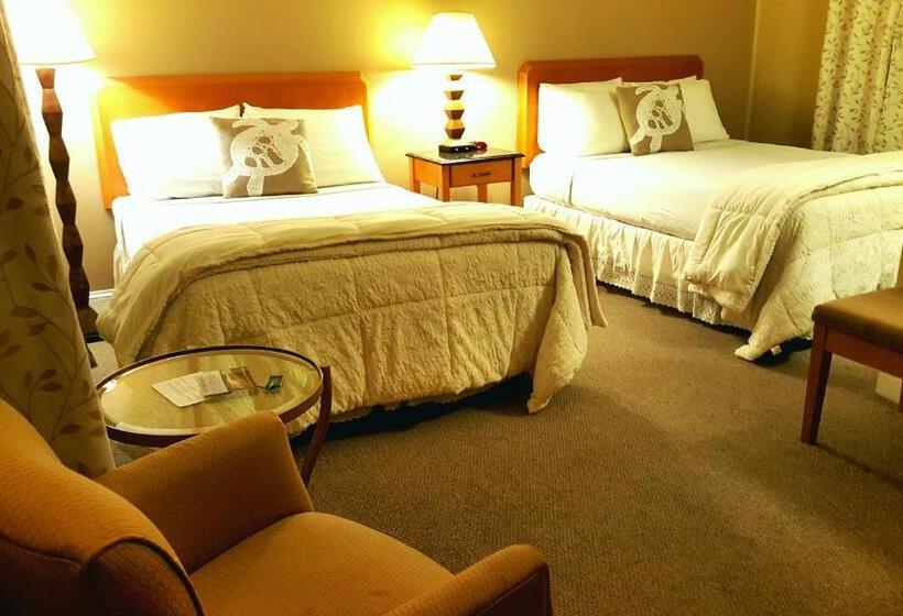 מוטל Starlight Lodge Cape Cod