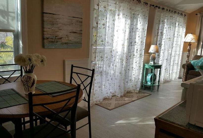 מוטל Starlight Lodge Cape Cod