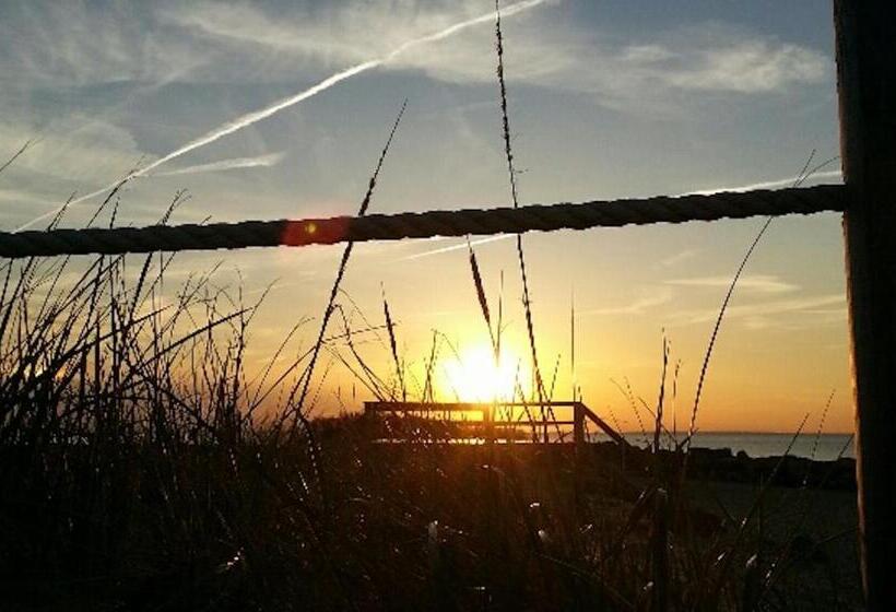 מוטל Starlight Lodge Cape Cod