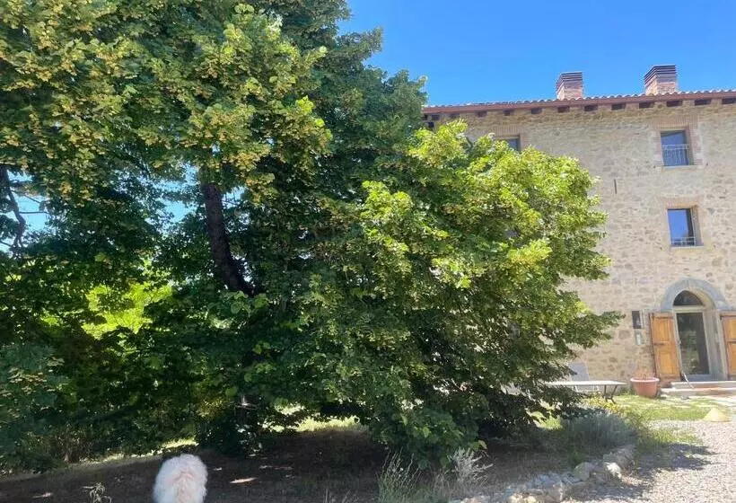 Aamiaismajoitus (B&B) Oasi Acquafresca