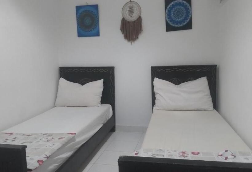 Bed and Breakfast Surfer Rosa Hostel