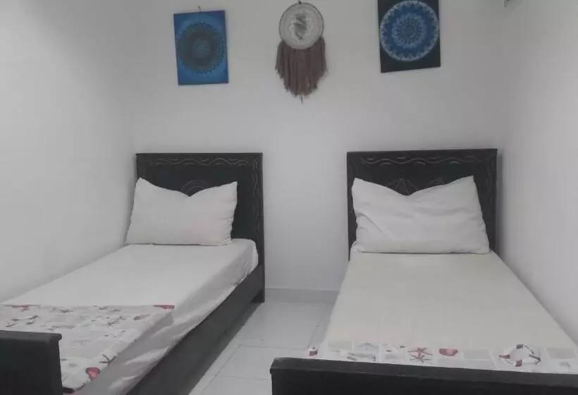 ベッドアンドブレックファースト Surfer Rosa Hostel